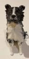 dog 2