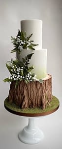 wedding cake with trunk and ferns